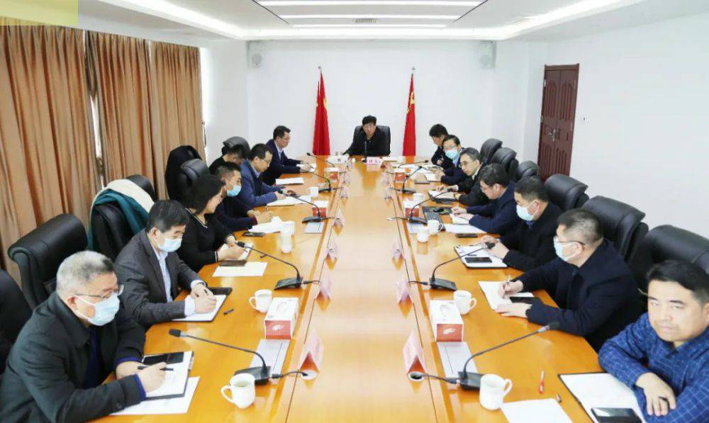 日照经开区召开天津昊辰私人定制旅行有限公司药业项目专题会